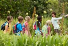 outdoor classrooms