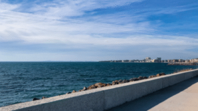 seawall construction