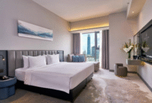 Sleeping Lion Suites