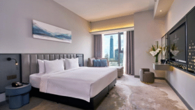 Sleeping Lion Suites