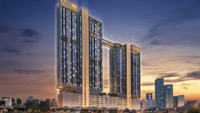 Sleeping Lion Suites