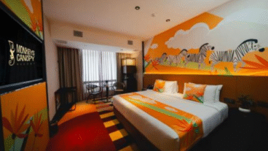 monkeys canopy resort