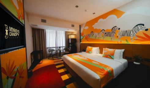 monkeys canopy resort