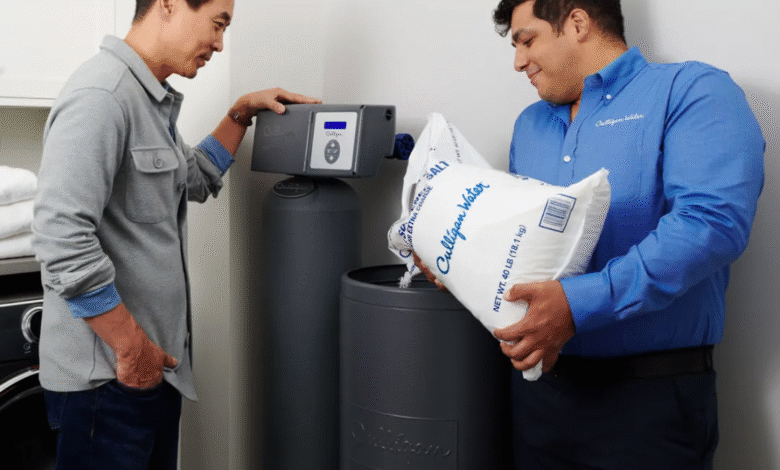 salt delivery service