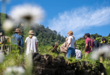 Nilgiris Earth Festival