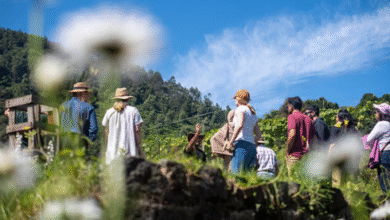 Nilgiris Earth Festival