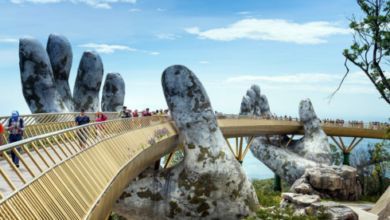 Singapore to Danang Flight