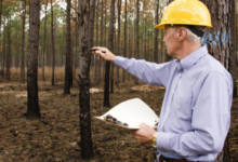 forest van vibhag vacancy