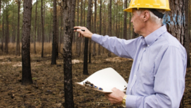 forest van vibhag vacancy