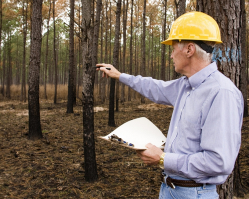 forest van vibhag vacancy