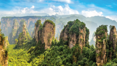 book SG to Chengdu flight