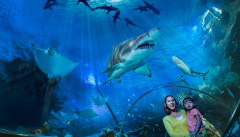 Singapore Oceanarium 2026