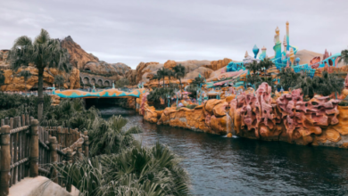 Tokyo Disneyland ticket price 2026