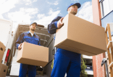 Professional Removals Brighton